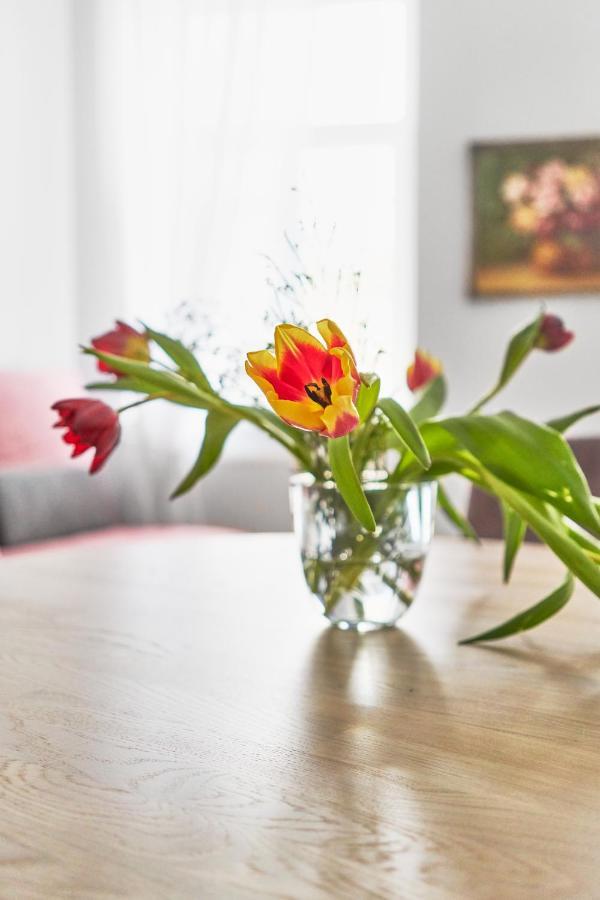 New And Lovely Apartament In Vilnius City Centre Dış mekan fotoğraf